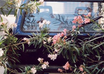 The Most Romantic Airbnbs in Europe