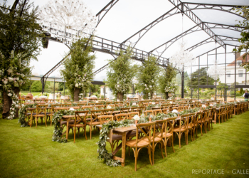 9 Questions with Lavender Green Flowers