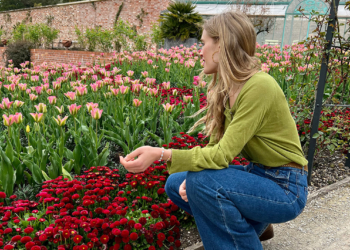 Our Lifestyle Editor Loves