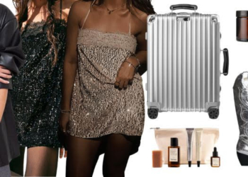 How To Plan Your Hand Luggage Hen in 2023