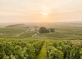 A Romantic Guide to Champagne