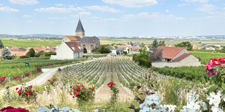 A Romantic Guide to Champagne