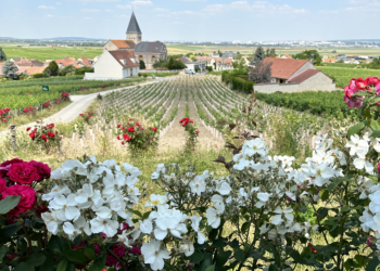 What To Pack For Champagne