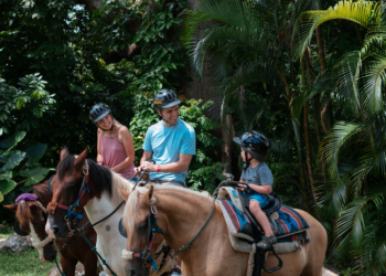 5 Reasons Puerto Rico Is The Ultimate Holiday Destination For Families 