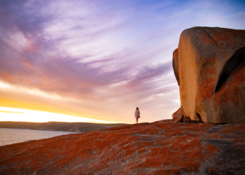 Australian Islands Safari Story