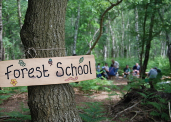 What Is Forest School And Why To Sign Up Whilst You’re Pregnant