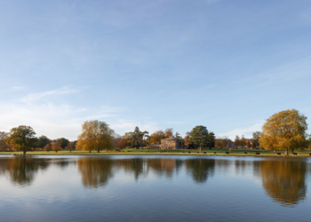 Behind The Scenes At Wilderness Reserve 