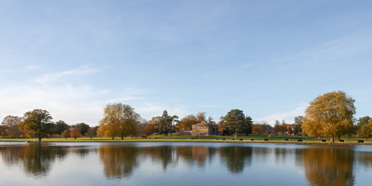 Behind The Scenes At Wilderness Reserve 